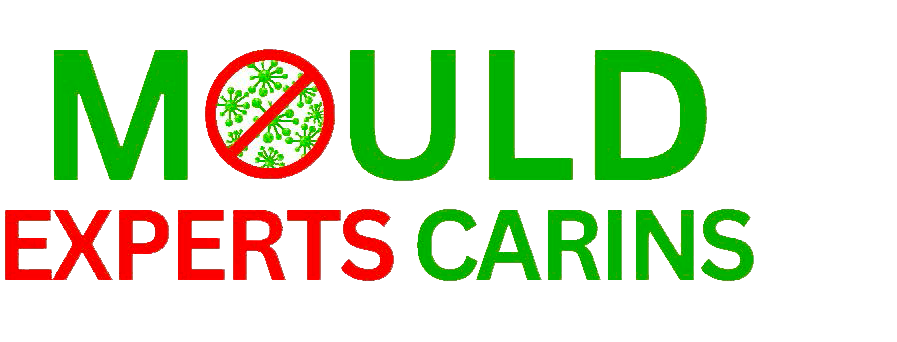 Mould Experts Cairns logo